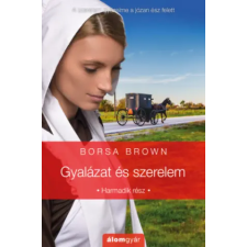 Álomgyár Kiadó Gyalázat és szerelem | Borsa Brown egyéb könyv
