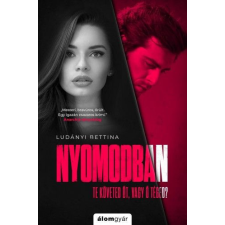 Álomgyár Kiadó Nyomodban regény