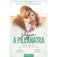 Álomgyár Kiadó Vágyom a pillanatra regény