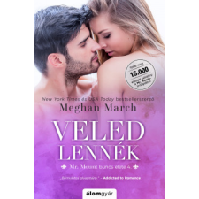 Álomgyár Kiadó Veled lennék regény