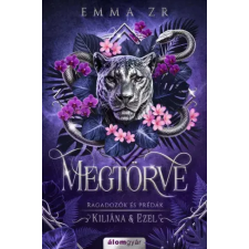 Álomgyár. Megtörve egyéb e-könyv