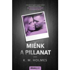 Álomgyár. Miénk a pillanat regény