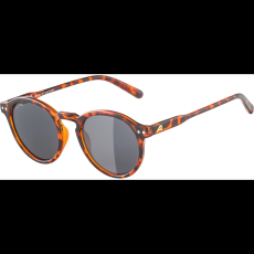 Alpina Sports Alpina Sneek - havana gloss (4003692322715)