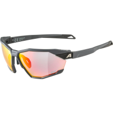 Alpina Sports Alpina Twist SIX QV midnight-grey matt (4003692321152)