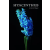 Amazon Digital Services LLC - Kdp Hyacinthus | Monika Alarcón Miguel