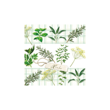 AMB.12509330 Herbs papírszalvéta 25x25cm,20db-os papírárú, csomagoló és tárolóeszköz