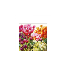 AMB.12514960 Tulips papírszalvéta 25x25cm, 20db-os asztalterítő és szalvéta
