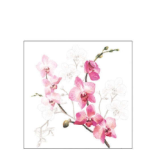 AMB.12517305 Orchid papírszalvéta 25x25cm,20db-os papírárú, csomagoló és tárolóeszköz