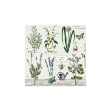 AMB.13311395 Herbs Garden papírszalvéta 33x33cm,20db-os higiéniai papíráru