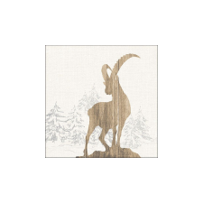 AMB.13316780 Ibex papírszalvéta 33x33cm, 20db-os asztalterítő és szalvéta