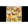  AMB.13317770 Collage of deers papírszalvéta 33x33cm, 20db-os