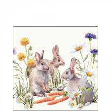 Ambiente Carrot treat papírszalvéta 25x25cm, 20db-os papírárú, csomagoló és tárolóeszköz