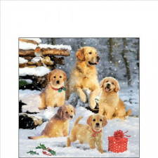 Ambiente Golden retriever puppiees papírszalvéta 25x25cm, 20db-os papírárú, csomagoló és tárolóeszköz