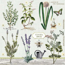 AMBIENTE Herbs Garden papírszalvéta 33x33cm,20db-os konyhai eszköz