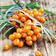 AMBIENTE Hippohae papírszalvéta 33x33cm,20db-os konyhai eszköz