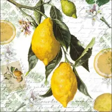 AMBIENTE Lemon papírszalvéta 33x33 cm,20db-os asztalterítő és szalvéta