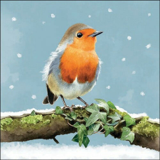 Ambiente Robin on branch papírszalvéta 33x33cm, 20db-os papírárú, csomagoló és tárolóeszköz