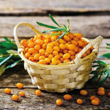 AMBIENTE Seaberry papírszalvéta 33x33cm, 20db-os konyhai eszköz