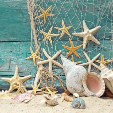 AMBIENTE Starfish papírszalvéta 33x33cm, 20db-os konyhai eszköz