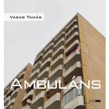 Ambuláns regény