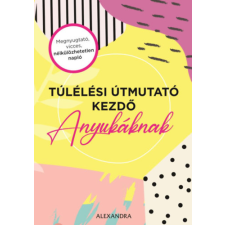 Amy Ransom - Túlélési útmutató kezdő anyukáknak idegen nyelvű könyv