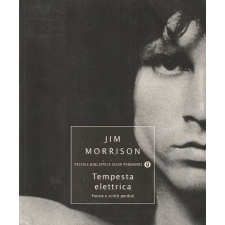 Andorlo Mondatori Tempesta elettrica antikvárium - használt könyv