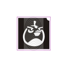  Angry bird No06 (csss0150) csillámtetoválás