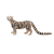 Animal Planet Mojo Fun Clouded Leopard