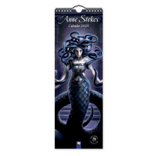Anne Stokes Slim Calendar 2026 (Art Calendar) naptár, kalendárium