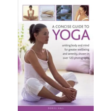 Anness Publishing Concise Guide to Yoga | Doriel Hall egyéb könyv