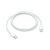 Apple 60W USB-C Charging Cable 1m White (MW493)