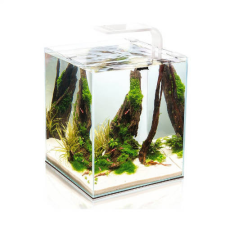 Aqua-El Aquael Shrimp Set Smart Day&amp;Nnight 30 black - Nano akvárium (fehér) garnélarákoknak és kisebb halaknak (29x29x35cm) akvárium
