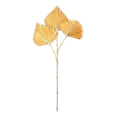  Arany színű exotikus dekorág dekoráció