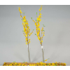  Aranyeső ág szálas selyemvirág 100 cm