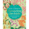 Arcturus Publishing Ltd The Kew Gardens Amazing Orchids Colouring Book – Franz Bauer,Pierre-Joseph Redoute (Brožovaná)