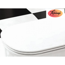 AREZZO Design Charlton Soft Close, lecsapódásgátló wc tető, AR-NSC takarító és háztartási eszköz