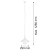 Argon Argon ERBA BIS 3296 Függőlámpa 1x15W/E27 IP44