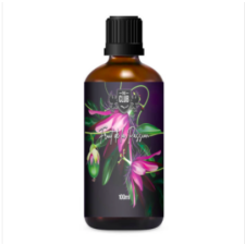 Ariana &amp; Evans Ariana & Evans Aftershave Fruit de la Passion 100ml after shave