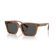 armani exchange AX4147S 835887 SHINY TRANSPARENT BROWN DARK GREY napszemüveg napszemüveg
