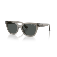 armani exchange AX4164SU 839487 SHINY TRANSPARENT GREY DARK GREY napszemüveg