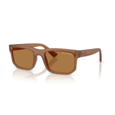 armani exchange AX4165S 835873 FROSTED BROWN BRONZE napszemüveg