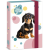 Ars Una : Cuki állatok – Tacskó kutyusos füzetbox A/5