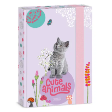 Ars Una Cute Animals-Kitten 24 (5368) A5 füzetbox füzetbox