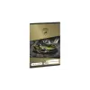 Ars Una Füzet vonalas ARS UNA A/5 32 lapos 12-32 3.osztályos Lamborghini 5523