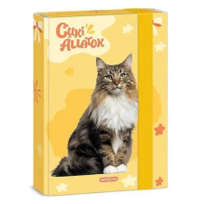 Ars Una füzetbox A5 - Cuki állatok - Norvég erdei macska füzetbox