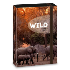 Ars Una füzetbox A5 - Máté Bence Elephant füzetbox