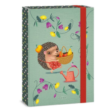 Ars Una Füzetbox ARS UNA A/4 Apple Pie füzetbox