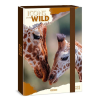 Ars Una Füzetbox ARS UNA A/4 Icons of the Wild-Giraffes