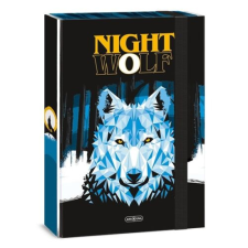 Ars Una Füzetbox ARS UNA A/4 NightWolf füzetbox