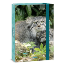 Ars Una Füzetbox ARS UNA A/4 Serenity Manul füzetbox